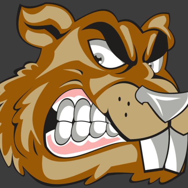 BEAVER HD0503 RQC Thumbnail