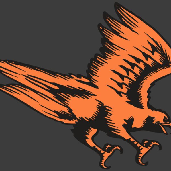 BAW HWK FLCN 04 RC Thumbnail