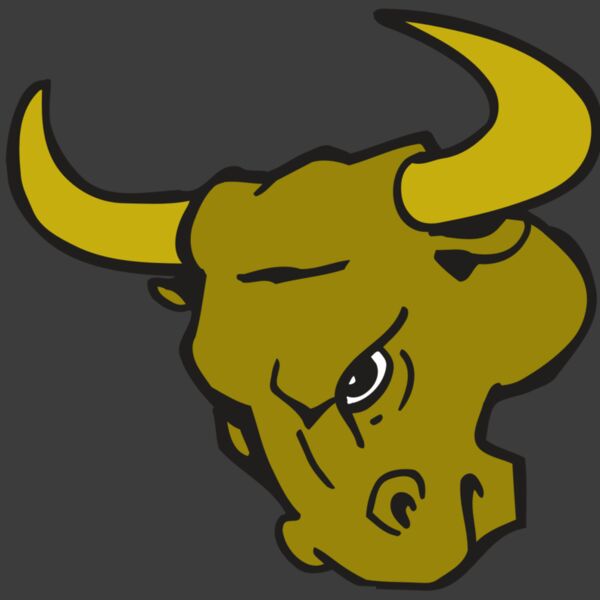 AR BULL 26 RC Thumbnail