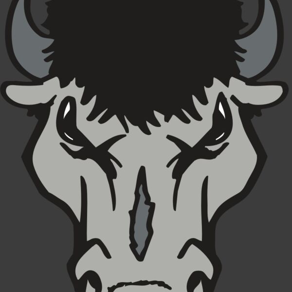 AR BUFFALO 15 RC Thumbnail