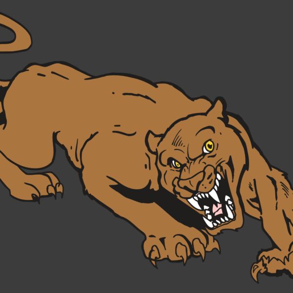 AR5 COUGAR 41 RQC Thumbnail