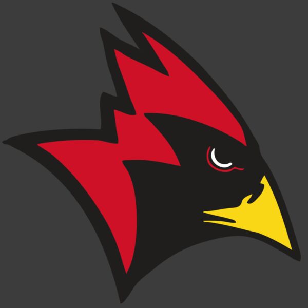 AR CARDINAL 23 RC Thumbnail