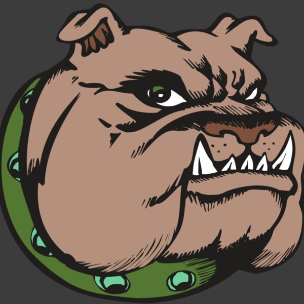 BAW BULLDOG 14 RC Thumbnail