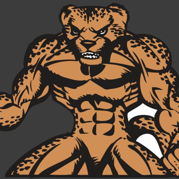 BAW CHEETAH 07 RC Thumbnail