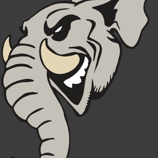 AR5 Elephant 11 RQC Thumbnail