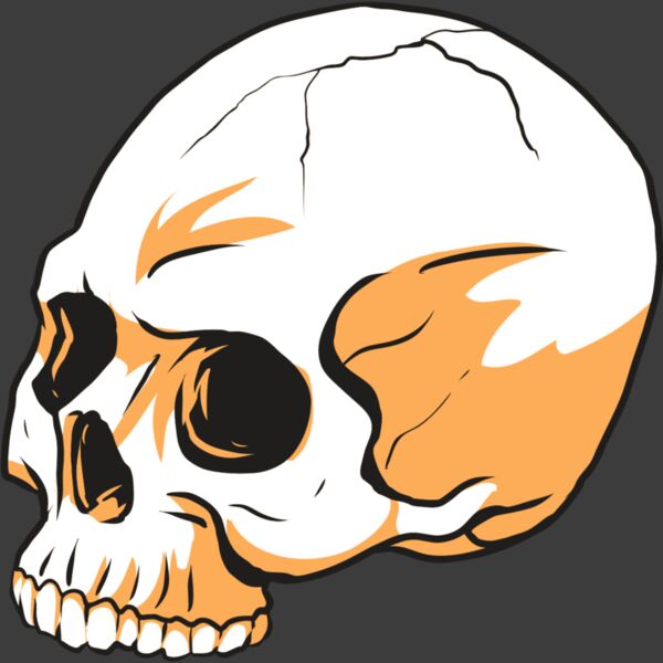 AR24 SKULL 13 RQC Thumbnail