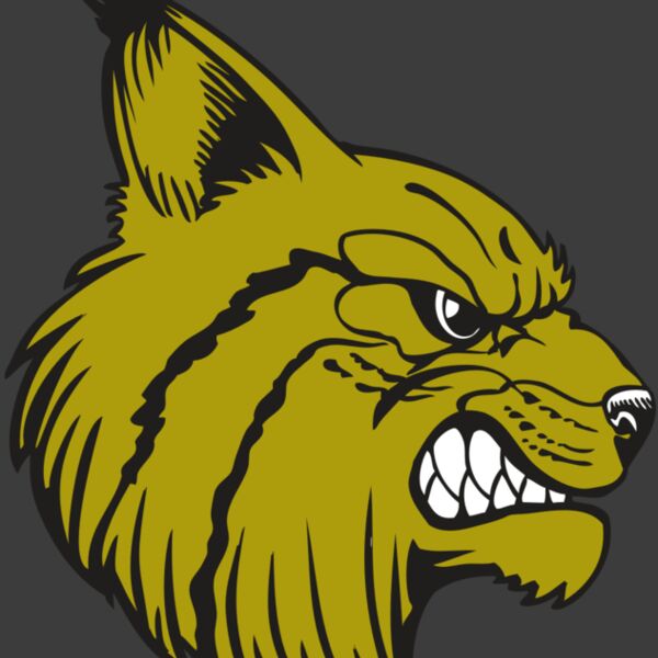 BAW BOBCAT 16 RC Thumbnail