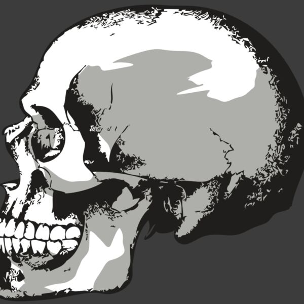 AR24 SKULL 02 RQC Thumbnail