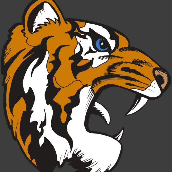 BAW TIGER 08 RC Thumbnail