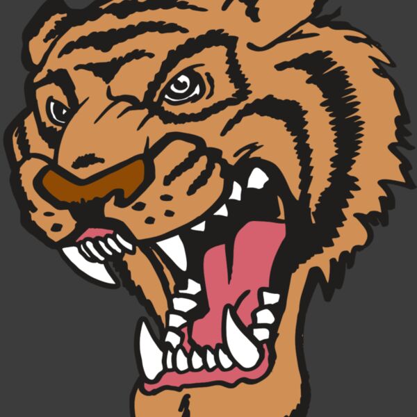 AR TIGER 12 RC Thumbnail