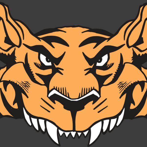 AR5 Tiger 07 RQC Thumbnail