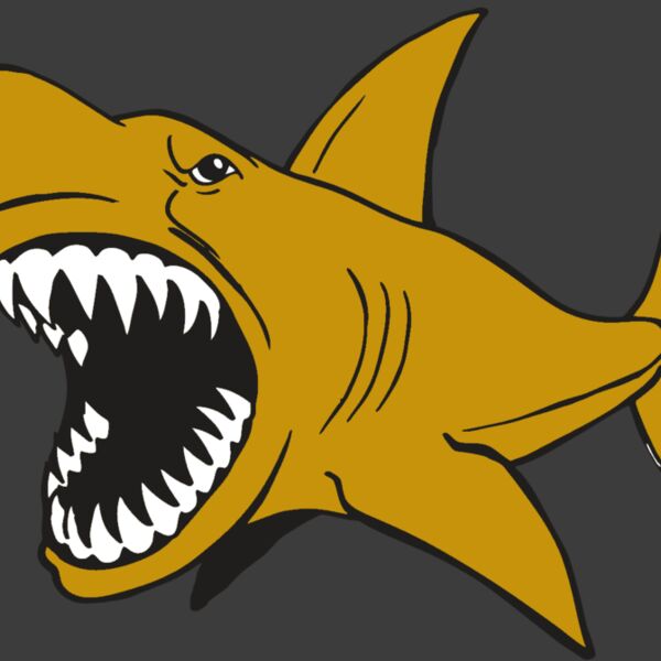 AR  SHARK 21 RC Thumbnail