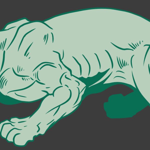 AR10 PANTHER 05 RQC Thumbnail