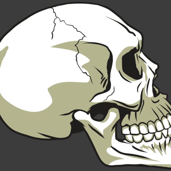 AR24 SKULL 12 RQC Thumbnail