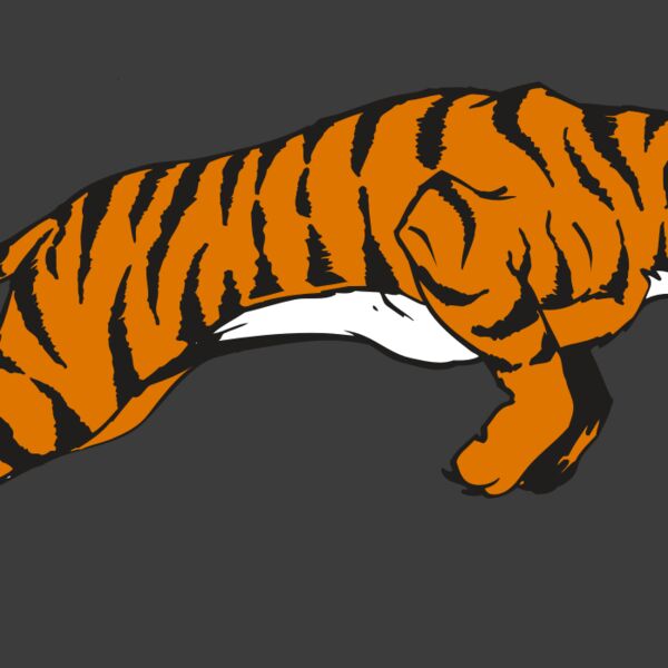 AR TIGER 79 RC Thumbnail