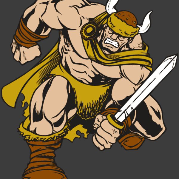 AR VIKING 35 RC Thumbnail