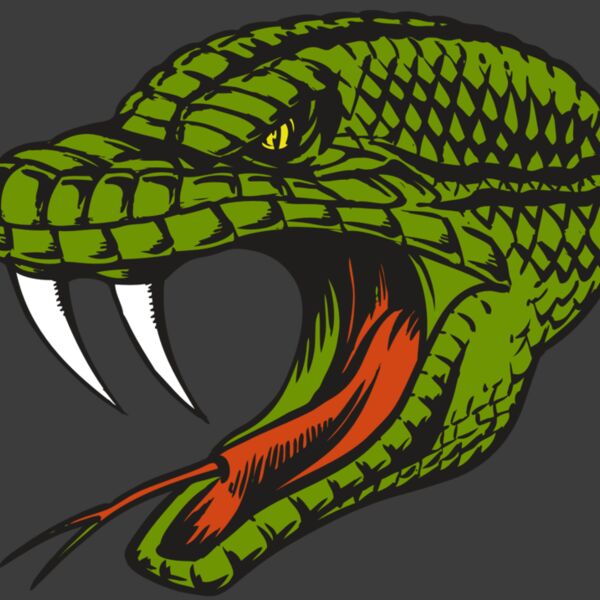 BAW SNAKE 14 RC Thumbnail