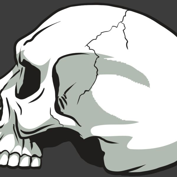 AR24 SKULL 11 RQC Thumbnail