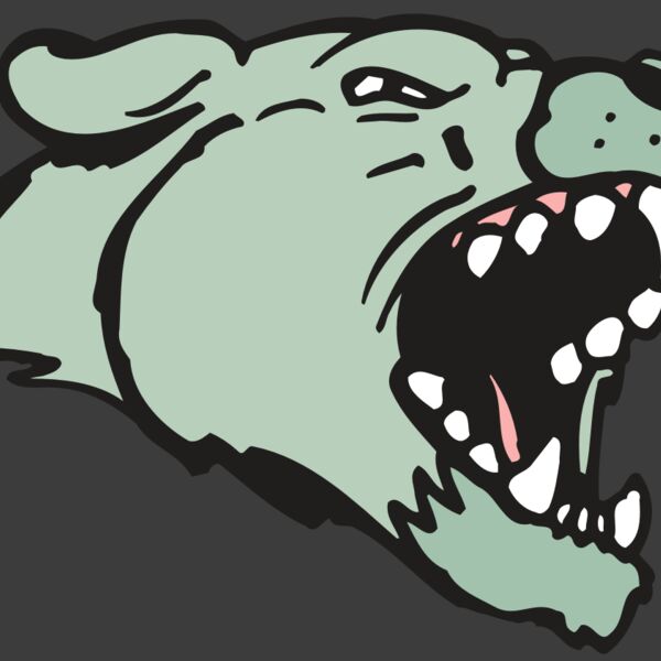 AR5 COUGAR 33 RQC Thumbnail