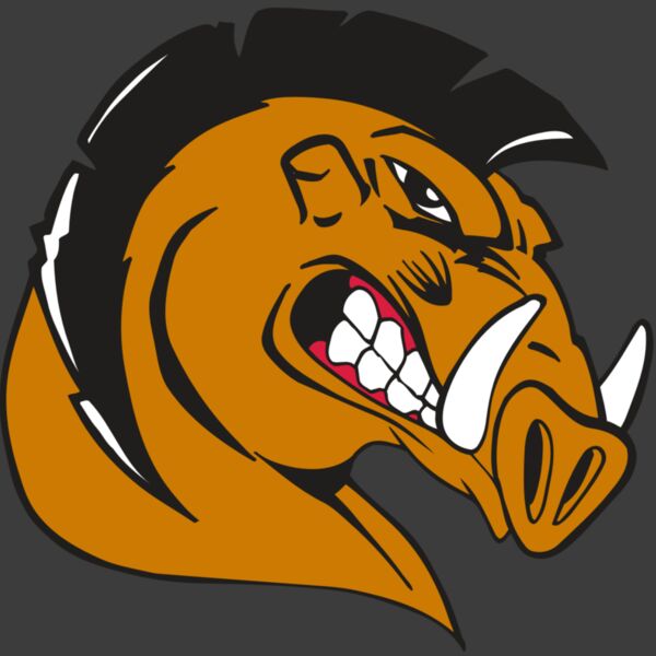 AR RAZORBACK 19 RC Thumbnail