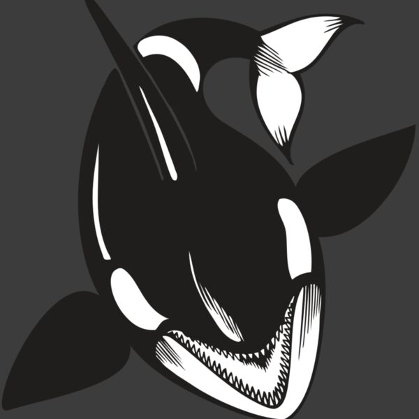 BAW KLRWHALE 01 RC Thumbnail