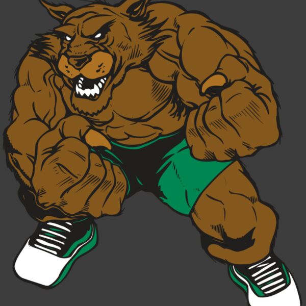 AR WILDCAT 45 RC Thumbnail