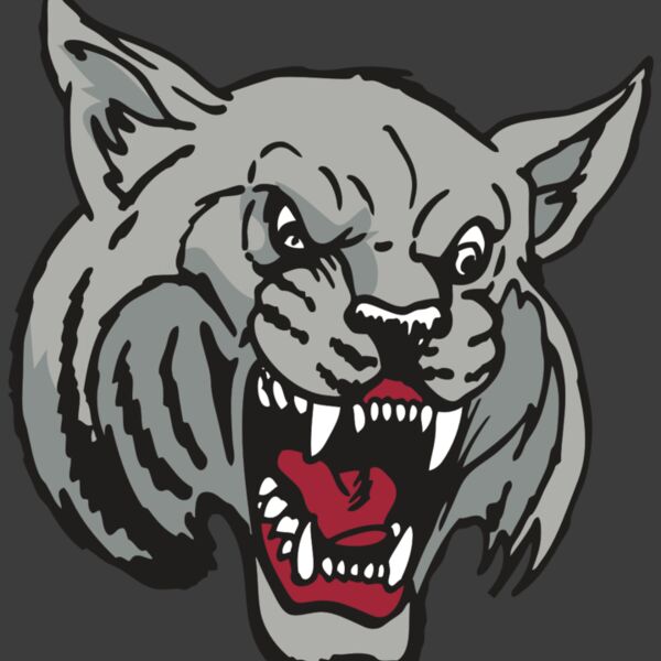 AR WILDCAT 42 RC Thumbnail