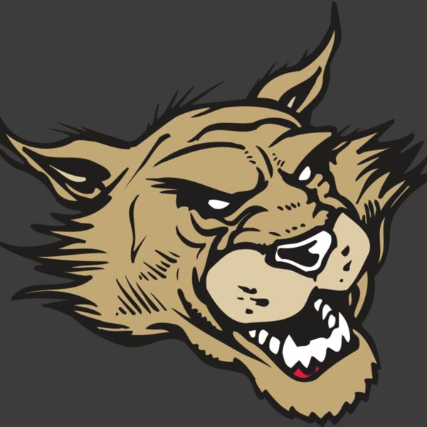 AR WILDCAT 39 RC Thumbnail