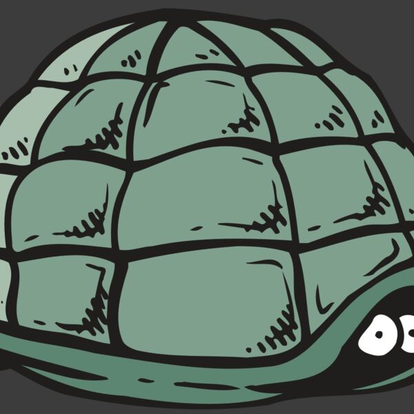 AR5 Turtle 10 RQC Thumbnail