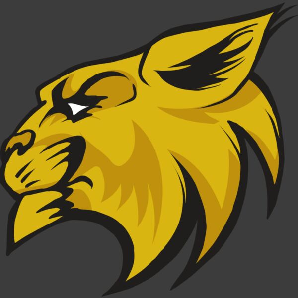 AR30 WILDCAT 02 RQC Thumbnail