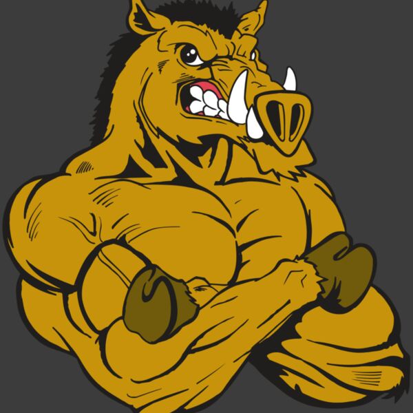 AR5 Razorback 17 RQC Thumbnail