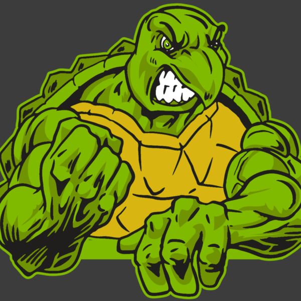 AR31 TURTLE 01 RQC Thumbnail