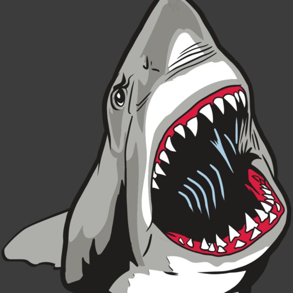 AR20 SHARK 45 RQC Thumbnail