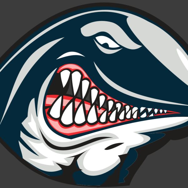 WHALE HD0501 RQC Thumbnail