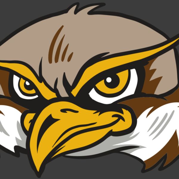 AR12 OWL 02 RQC Thumbnail