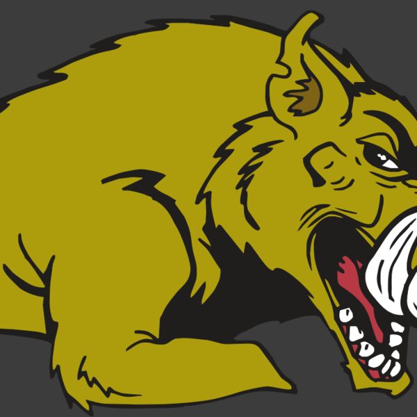 AR RAZORBACK 23 RC Thumbnail