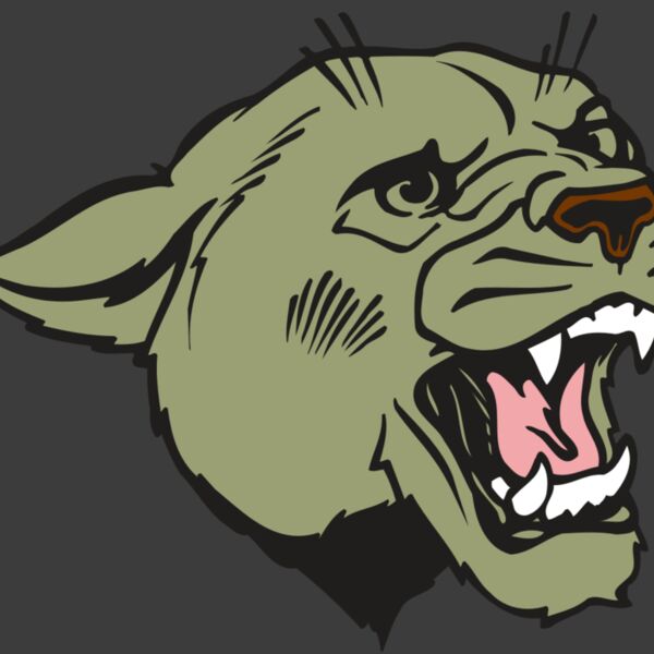 AR COUGAR 40 RC Thumbnail