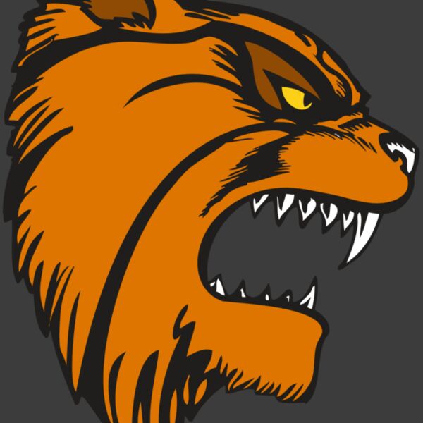 BAW WILDCAT 08 RC Thumbnail