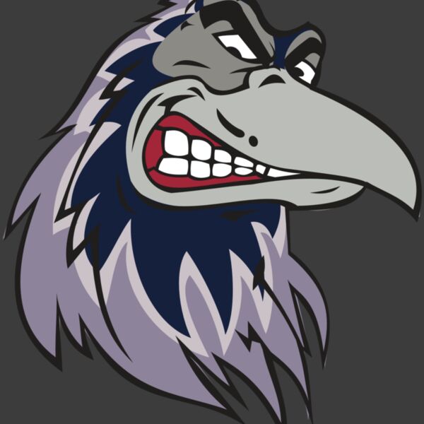 RAVEN HD0504 RQC Thumbnail