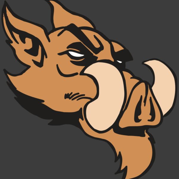 AR5 Razorback 16 RQC Thumbnail