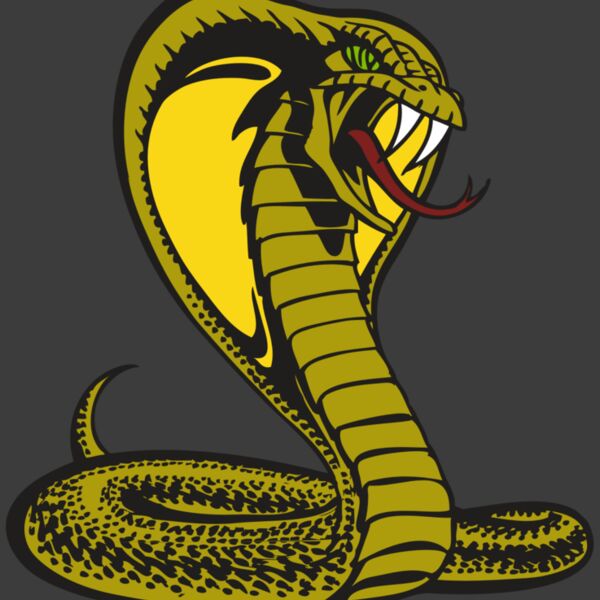 BAW SNAKE 02 RC Thumbnail