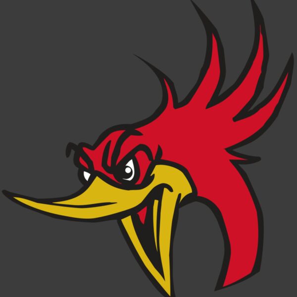 AR31 ROADRUNNER 02 RQC Thumbnail