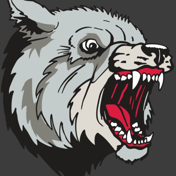 AR WOLF 38 RC Thumbnail