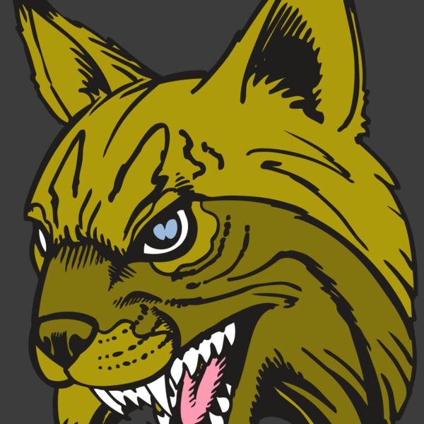 BAW BOBCAT 05 RC Thumbnail