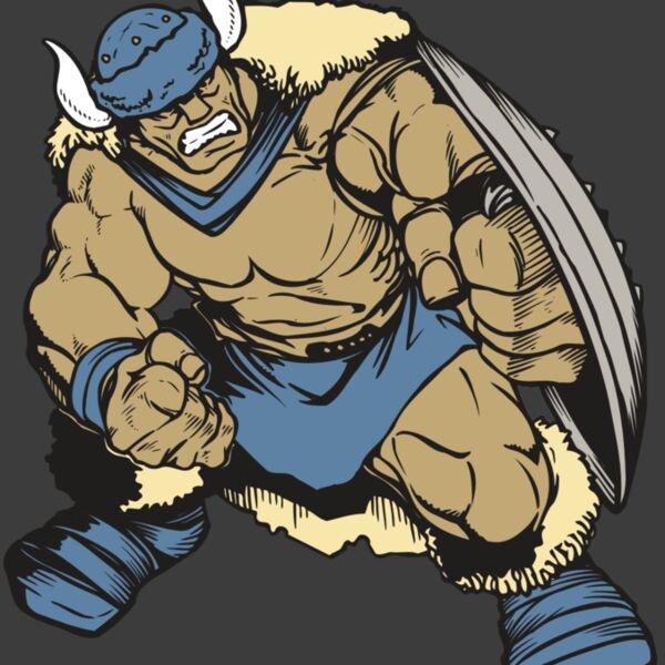 AR VIKING 36 RC Thumbnail