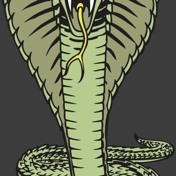 BAW SNAKE 15 RC Thumbnail