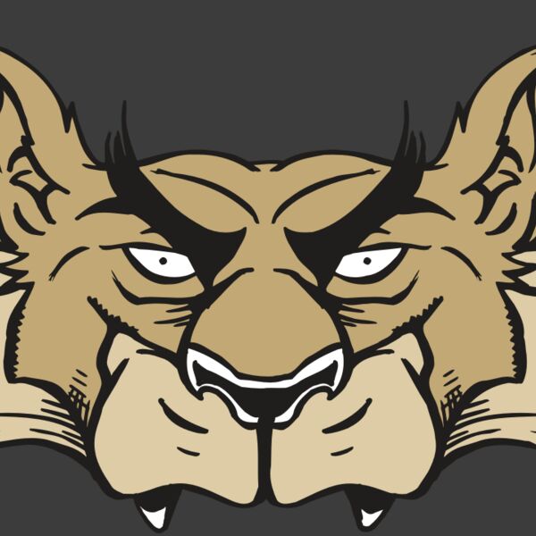 AR5 Wolf 28 RQC Thumbnail