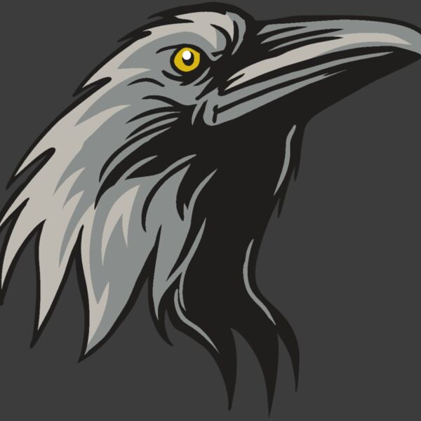 AR31 RAVEN 01 RQC Thumbnail