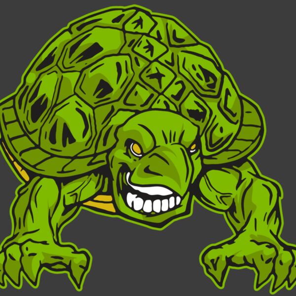 AR31 TURTLE 03 RQC Thumbnail