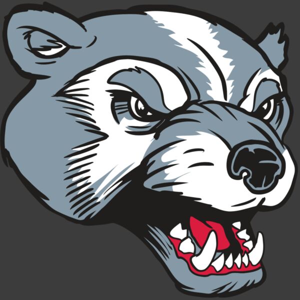 AR13 WLVRN 02 RQC Thumbnail